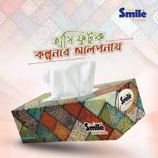 Smile Facial Tissue (240 shit)